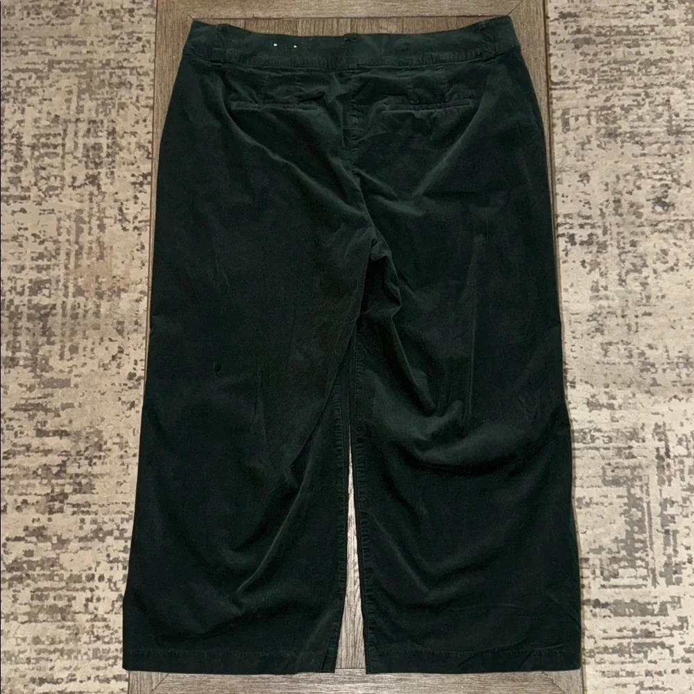 Lane Bryant Corduroy Trouser Pants in Green 22 Short